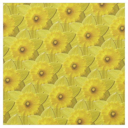 Daffodil stof Pasen Bloem Gele stoffen (Close Up)