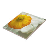 Daffodil Tegeltje (Zijkant)