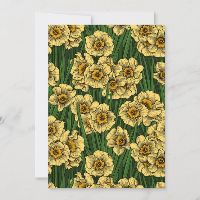 Daffodil tuin (Voorkant)