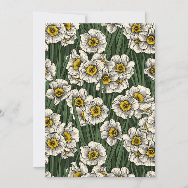 Daffodil tuin (Voorkant)