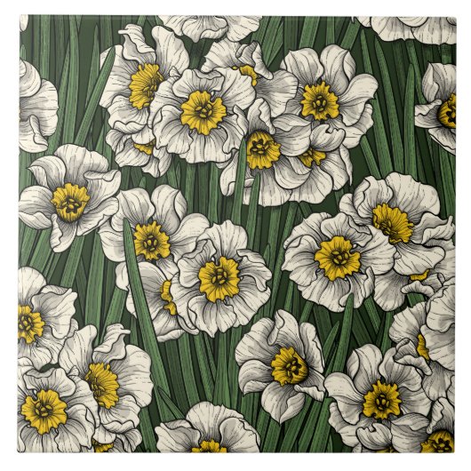 Daffodil tuin tegeltje (Voorkant)