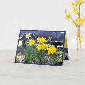 Daffodil van mijn oude wenskaart, dankbaarheid kaart (Gele Bloem)
