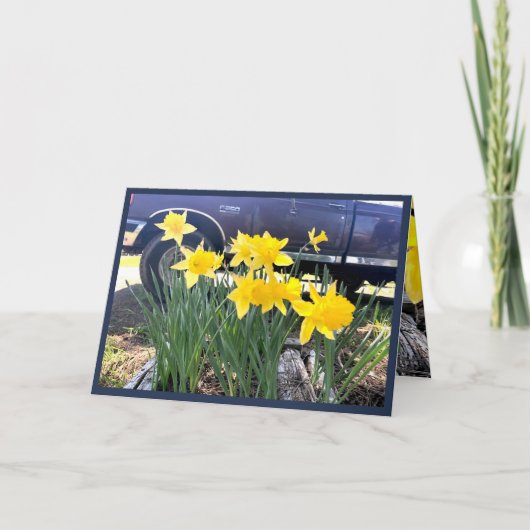 Daffodil van mijn oude wenskaart, dankbaarheid kaart (Voorkant)