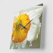 Daffodil Vierkante Klok (Hoek)
