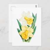 Daffodil Vintage Botanical Postcard Briefkaart (Voorkant / Achterkant)