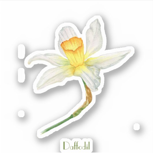 Daffodil waterverf Custom-Cut Vinyl Sticker (Voorkant)