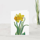 Daffodil waterverf wenskaart blanco kaart (Voorkant)