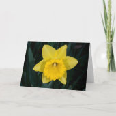 Daffodil-wenskaart Feestdagen Kaart (Voorkant)