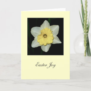 Daffodil-Wenskaart 'Pasen Joy' Feestdagen Kaart