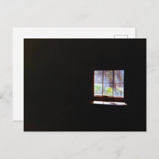  Daffodil Window Briefkaart (Voorkant / Achterkant)