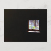  Daffodil Window Briefkaart (Voorkant)