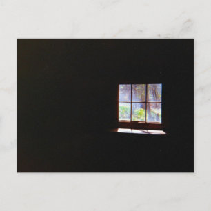 Daffodil Window Briefkaart