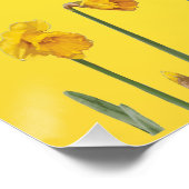 Daffodil Yellow Narcissus Retro  Perfect Poster (Hoek)