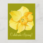 Daffodil Yellow Short-Trumpet Spring Flower Briefkaart (Voorkant)