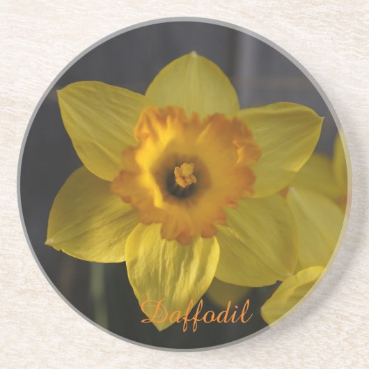 Daffodil zandsteen onderzetter (Voorkant)