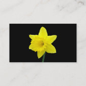 Daffodil - zwart visitekaartje (Achterkant)