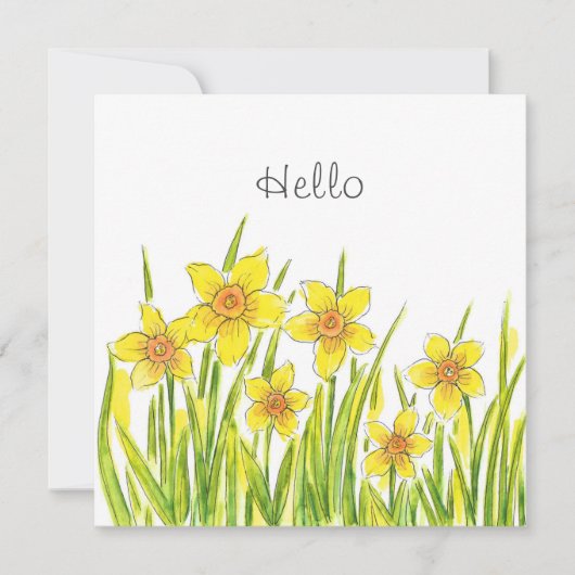 Daffodilatieveld (Voorkant)