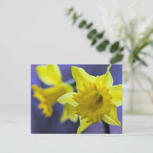 Daffodilbloemen Briefkaart (Staand voorkant)