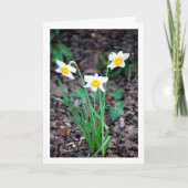 Daffodilbloemen Kaart (Voorkant)