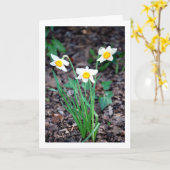 Daffodilbloemen Kaart (Gele Bloem)