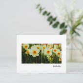 DaffodilBriefkaart Briefkaart (Staand voorkant)
