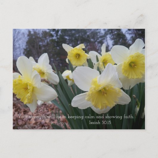 Daffodildruk met Isaiah 30:15 Briefkaart (Voorkant)