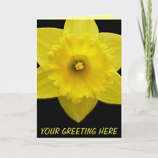 Daffodilerkaarten, speciaal ontworpen voor deffodi feestdagen kaart (Voorkant)