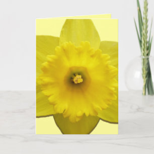 Daffodilerkaarten, speciaal ontworpen voor deffodi feestdagen kaart