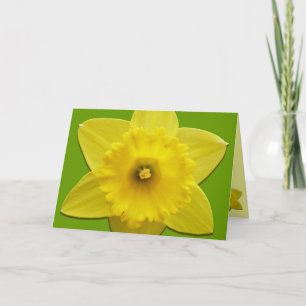 Daffodilkaarten, speciaal ontworpen klepkaarten feestdagen kaart