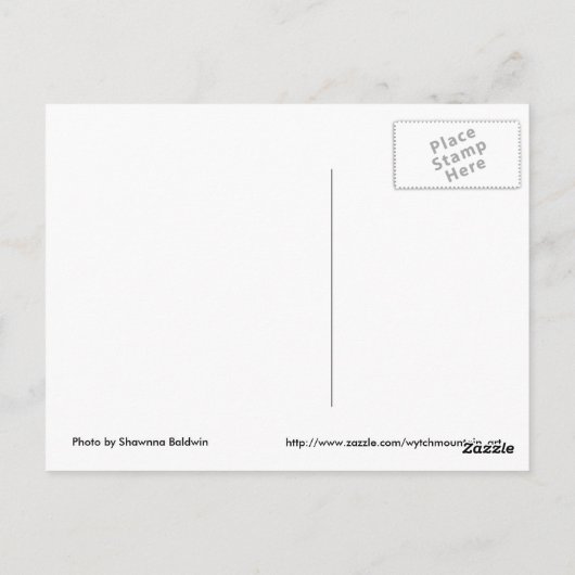 Daffodill Briefkaart (Achterkant)