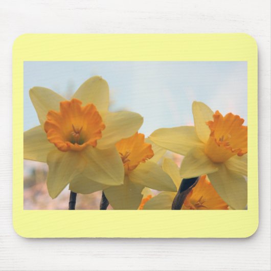 Daffodillen Muismat (Voorkant)