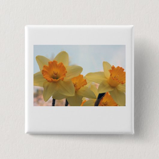 Daffodillen Vierkante Button 5,1 Cm (Voorkant)