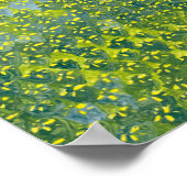 Daffodils 2012 poster (Hoek)