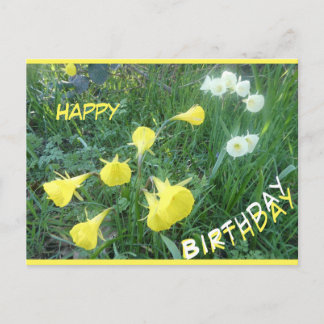 Daffodils Arctic Bells Happy Birthday Postcard Feestdagenkaart