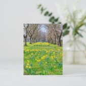 Daffodils bij Greenwich, Briefkaart van het Vereni (Staand voorkant)