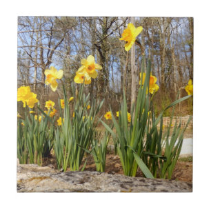 Daffodils bij Paaskeramische foto Tegel Tegeltje