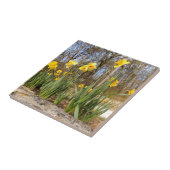 Daffodils bij Paaskeramische foto Tegel Tegeltje (Zijkant)