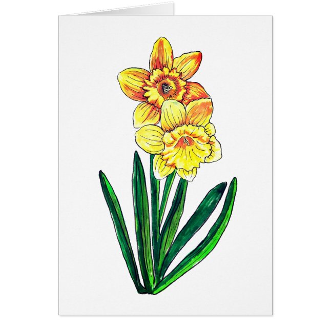 Daffodils Blank (Voorkant)