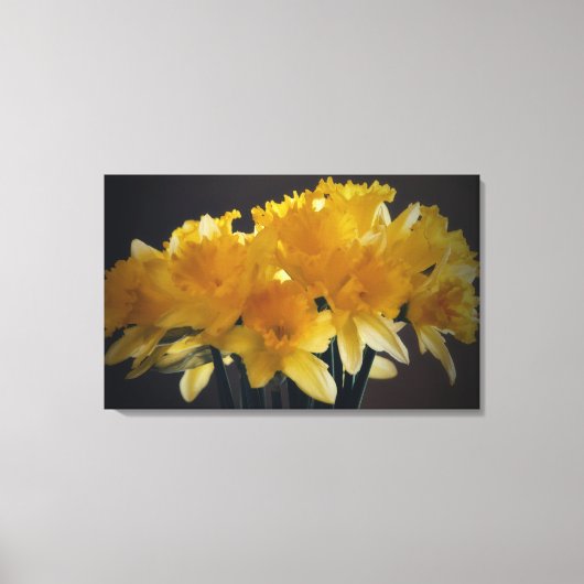 Daffodils Bloem Canvas Fotografische Kunst Afdruk (Voorkant)