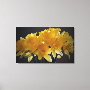 Daffodils Bloem Zonlicht Canvas Fotografische kuns