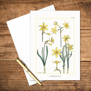 Daffodils Botanisch van Maurice Verneuil Blank Kaart