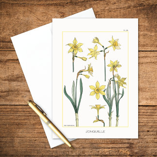 Daffodils Botanisch van Maurice Verneuil Blank Kaart
