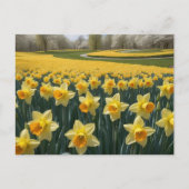 Daffodils Briefkaart (Voorkant)