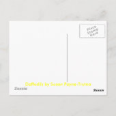 DAFFODILS BRIEFKAART (Achterkant)