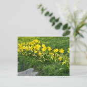 Daffodils Briefkaart (Staand voorkant)