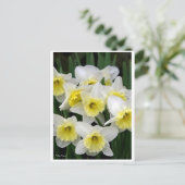 Daffodils Briefkaart (Staand voorkant)
