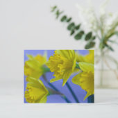 Daffodils Briefkaart (Staand voorkant)