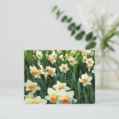 Daffodils Briefkaart (Staand voorkant)