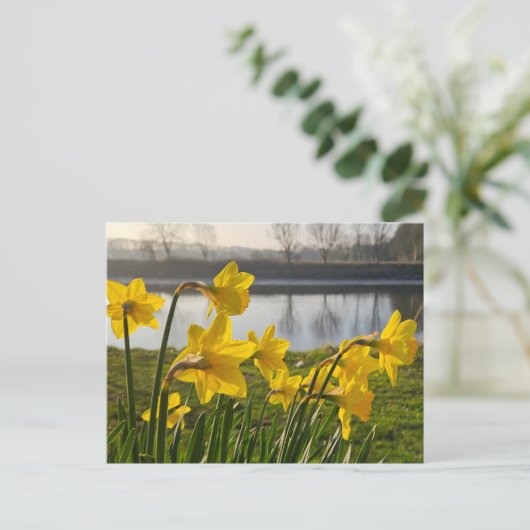 Daffodils Briefkaart (Staand voorkant)