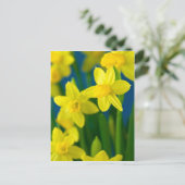 Daffodils Briefkaart (Staand voorkant)